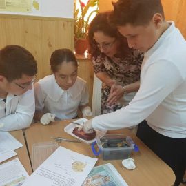 Lecție grad didactic – biologie- profesor Neculae Adriana