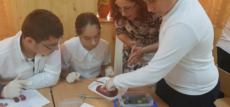 Lecție grad didactic – biologie- profesor Neculae Adriana